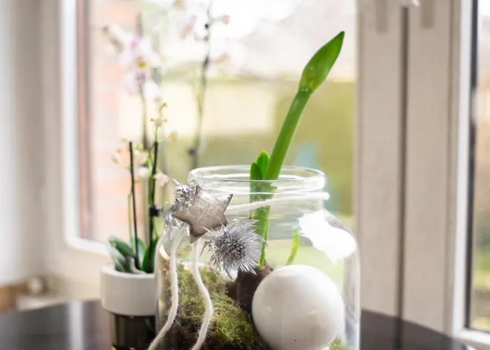 Villa Grosse Villa, Exhibitors, Monteurhaus Euskirchen